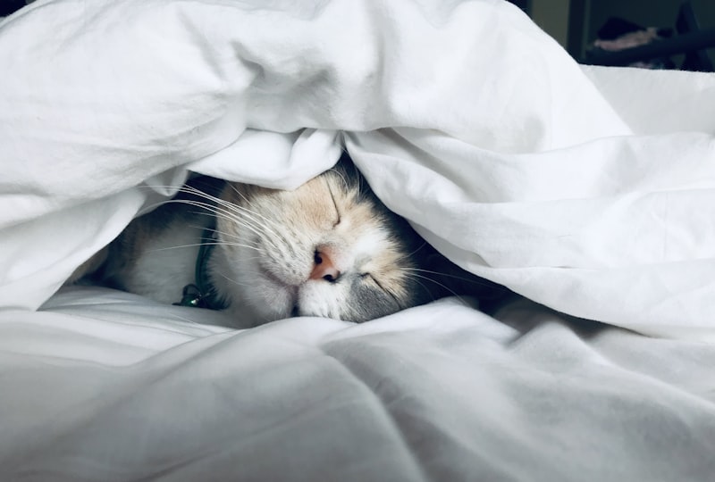 Sleep Disorder Signs: How to Identify Common Sleep Problems